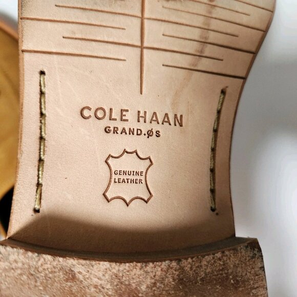 Cole Haan Washington Grand Tassel Loafer Men Sz 9 Cathay Spice Nubuck Dress Shoe - Picture 14 of 16